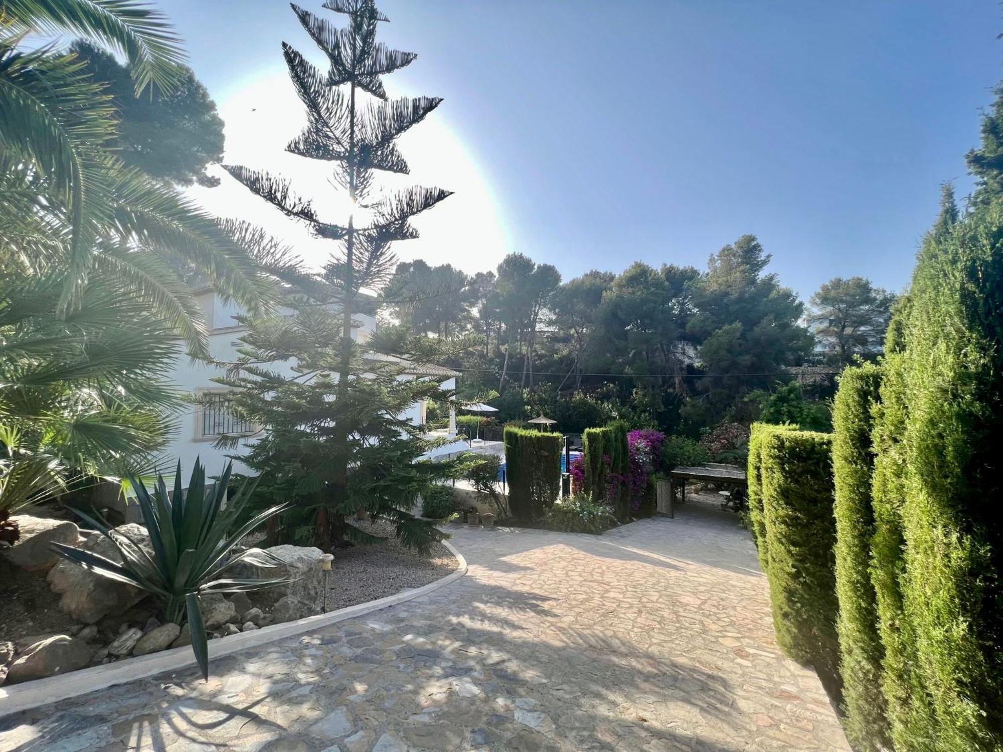 Palmera Xabia Bagian luar foto